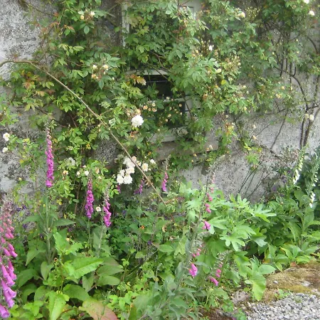 Ballydugan Country House-2